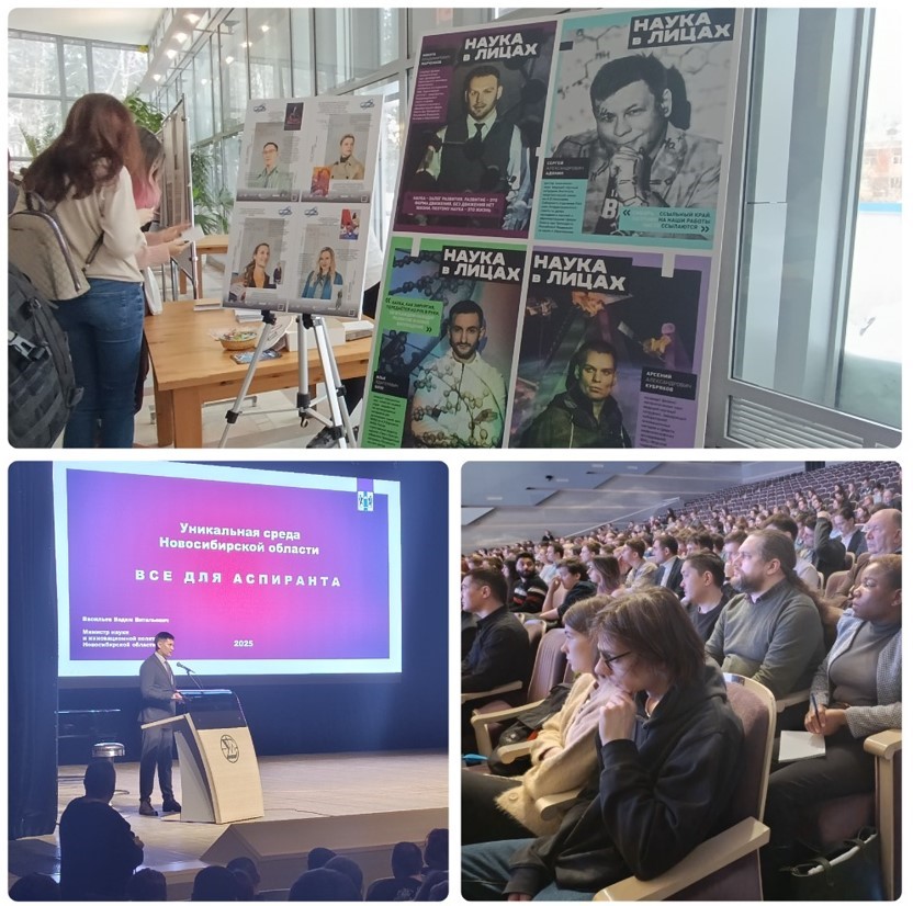 Новость на сайте